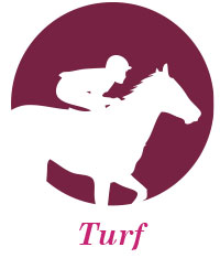 Turf